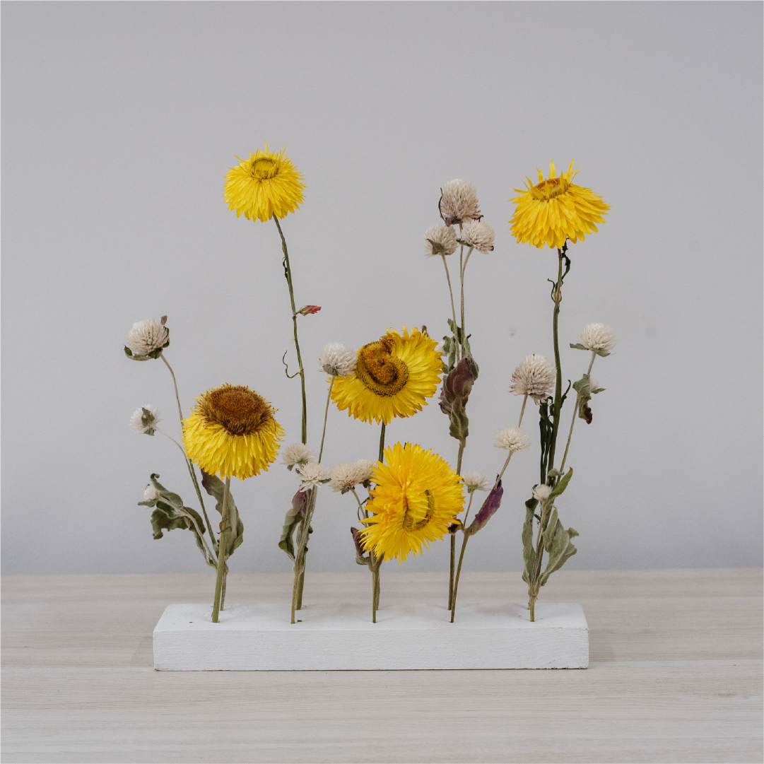 Mini Everlasting Garden - Yellow