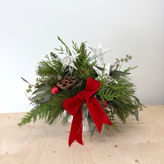 Starry Night, Woodland Light