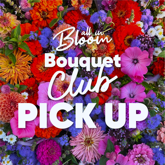 Bouquet Subscription With Pick Up