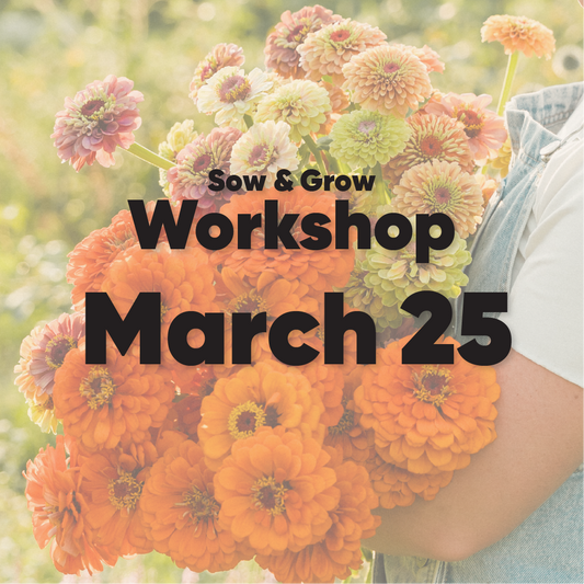 Seed & Sow Workshop - March 25