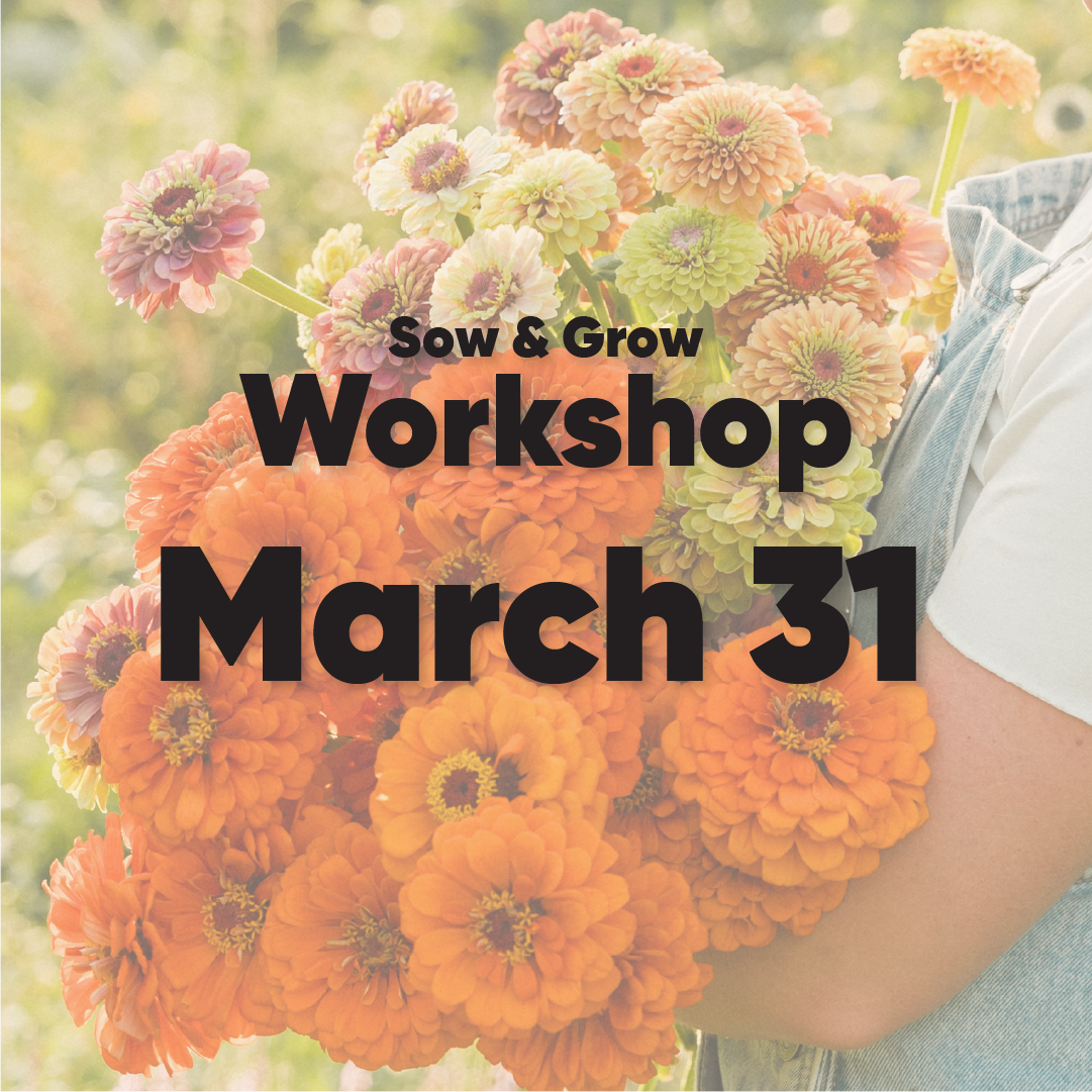 Seed & Sow Workshop - March 31