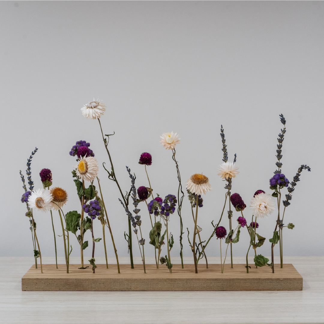 Everlasting Garden - Purple
