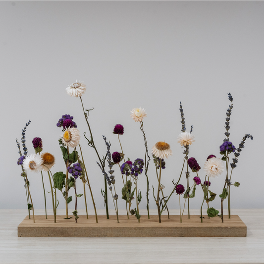Everlasting Garden - Purple