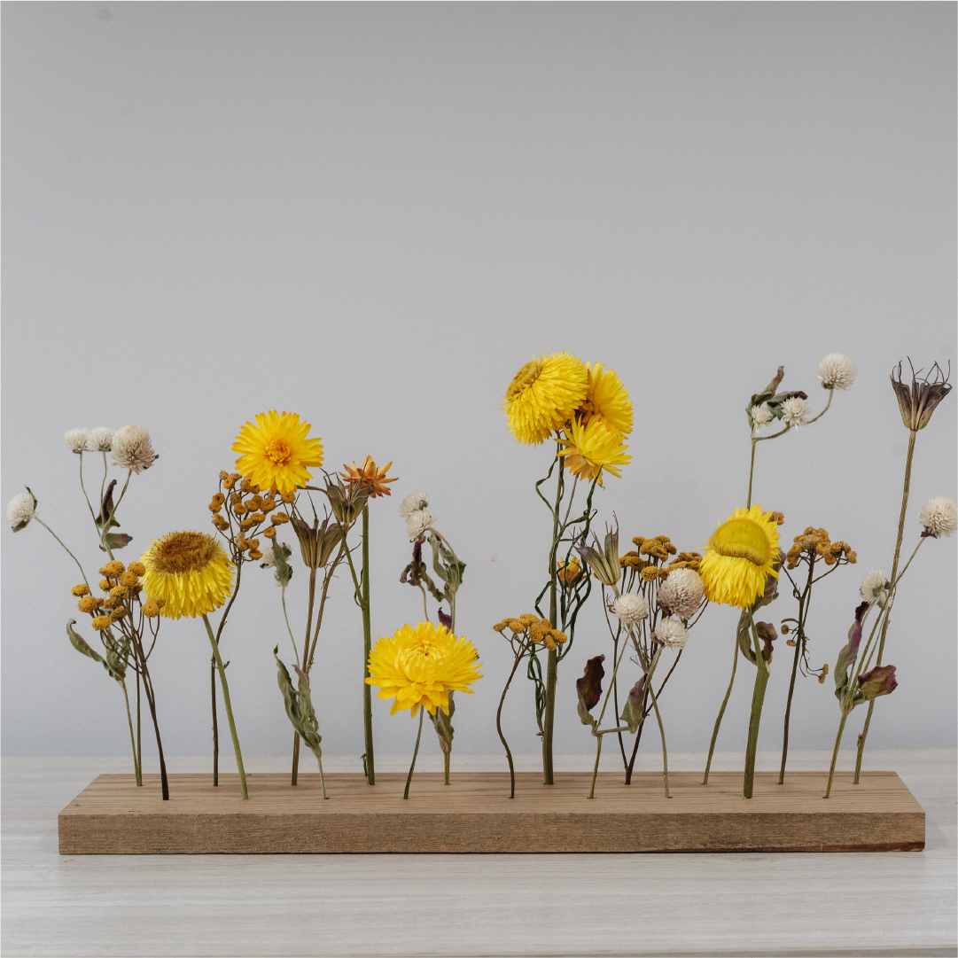 Everlasting Garden - Yellow