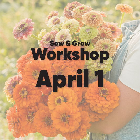 Seed & Sow Workshop - April 1