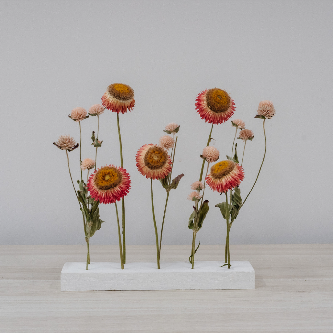 Mini Everlasting Garden - Red