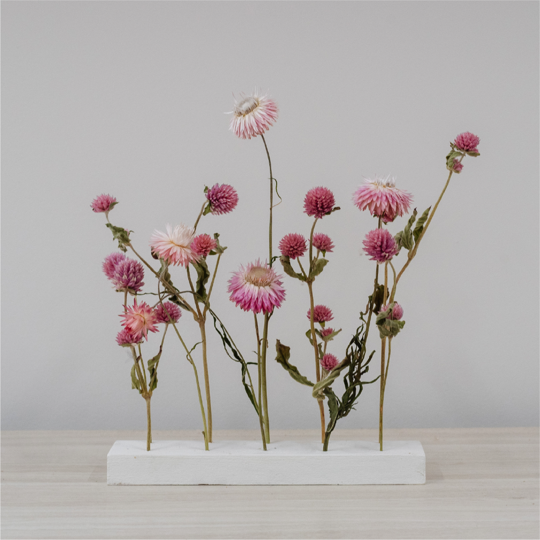 Mini Everlasting Garden - Pink