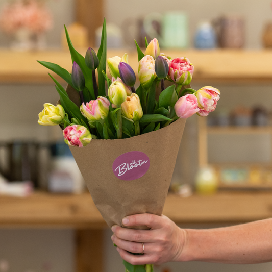 Large Tulip Bunch
