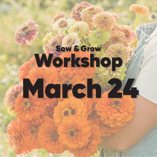 Seed & Sow Workshop - March 24