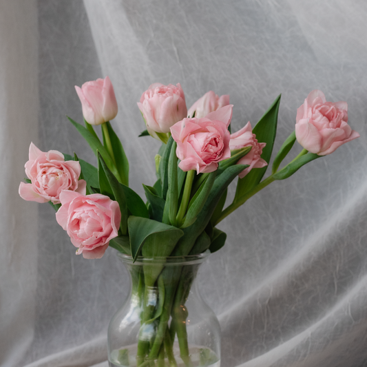 Tulip Bunch Valentines Day Preorder