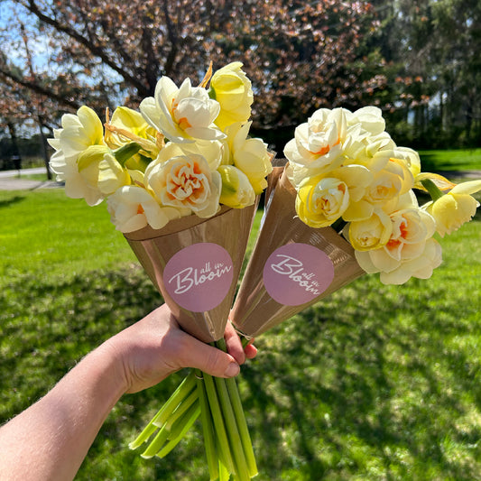 Daffodil Bunches