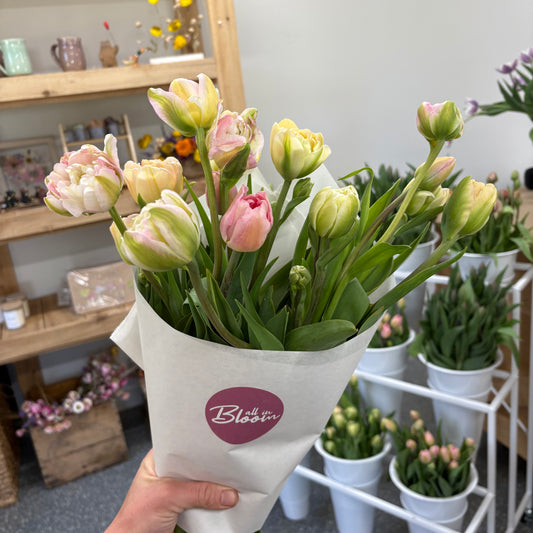 Large Tulip Bunch